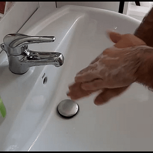 Curso de Manipulador de alimentos